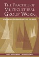 Go to record The practice of multicultural group work : visions and per...